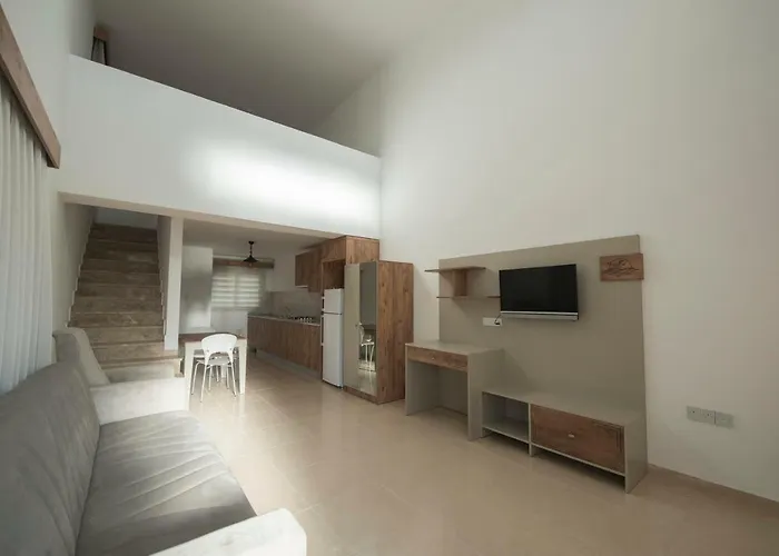 Deniz Airport 尼科西亚